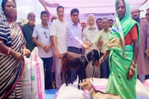 মাধবপুরে ক্ষুদ্র নৃ-গোষ্ঠীর মাঝে ছাগল ও উপকরণ বিতরণ মাধবপুরে ক্ষুদ্র নৃ-গোষ্ঠীর মাঝে ছাগল ও উপকরণ বিতরণ