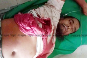সম্পত্তির দ্বন্ধে ভাইয়ের হাতে ভাই খুন
