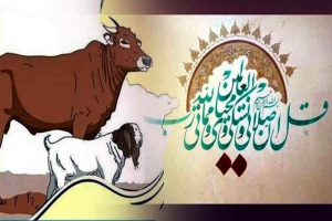 কোরবানির গুরুত্ব ও ফজিলত