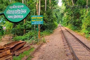 ঈদের ছুটিতে পর্যটকদের বরণে প্রস্তুত কমলগঞ্জ