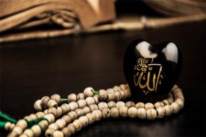 পৃথিবীতে আল্লাহর প্রতিনিধি যারা