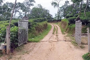 দীর্ঘ ১৫ বছর পর অবরুদ্ধ থেকে মুক্তি পেলো ঝিমাই খাসিয়াপুঞ্জি