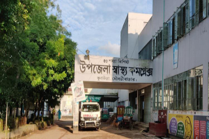 কুলাউড়ায় কুকুরের কামড়ে আহত ৪৯