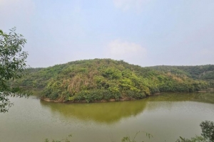 চা বাগানে লেকের সৌন্দর্যে মুগ্ধ পর্যটকরা