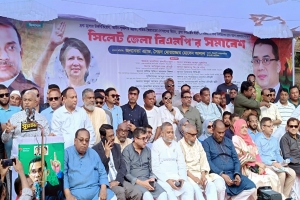 দেশে আর কোন ফ্যাসিবাদ মাথা নাড়া দিয়ে উঠতে পারবে না : আলাল