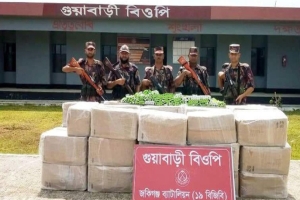 জৈন্তাপুর সীমান্তে বিপুল পরিমাণ ভারতীয় ওষুধ জব্দ