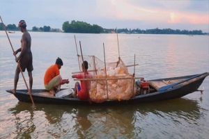 মাছ নেই হাওরের পানিতে