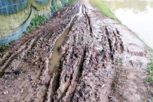 জকিগঞ্জে সড়কের বেহাল দশা