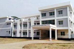 উপজেলা স্বাস্থ্য কমপ্লেক্সে অক্সিজেনের অভাবে প্রাণ গেল নবজাতকের