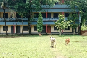 অনিয়মে জর্জরিত কোওর বাজার উচ্চ বিদ্যালয়