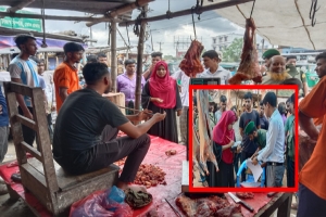 শায়েস্তােঞ্জে অস্বাস্থ্যকর পরিবেশে মাংস বিক্রি: চার ব্যবসায়ীকে জরিমানা