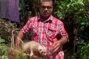 শ্রীমঙ্গলে বিপন্ন প্রজাতির ‘লজ্জাবতী বানর’ উদ্ধার
