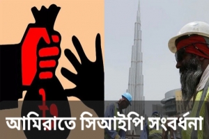 আমিরাতে সিআইপিদের সংবর্ধনা দিচ্ছে বাংলাদেশ কমিউনিটি