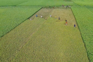অকাল বন্যা নিয়ে শঙ্কায় হাওরবাসী