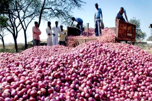 পেঁয়াজ রপ্তানি থেকে নিষেধাজ্ঞা তুলল ভারত