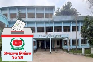 লাখাইয়ে প্রতীক পেয়েই প্রচারণায় প্রার্থীরা