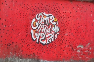 ‘জুলাই শহীদ’ ও ‘জুলাই যোদ্ধা’র স্বীকৃতি দিয়ে অধ্যাদেশ জারি, প্রতারণার শাস্তি দুই বছর