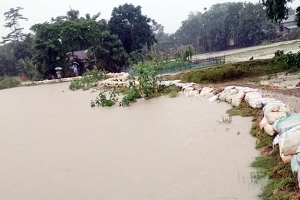 বিএসএফের বাধায় ঝুলে আছে পাউবোর প্রকল্প