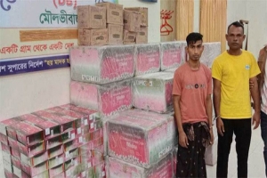 ৭৩ লাখ টাকার ভারতীয় প্রসাধনীসহ ট্রাক জব্দ, চালক আটক 
