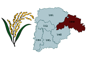 সিলেটের পাঁচটি আসনে বিজয়ের জন্য প্রস্তুত বিএনপি