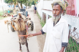 ঘোড়ার গাড়িতে জীবনের চাকা