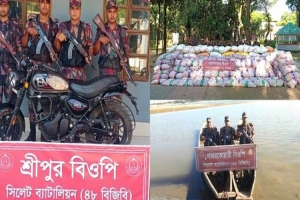 সিলেট সীমান্তে ৭০ লক্ষ টাকার চোরাই পণ্য জব্দ