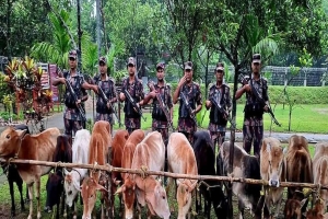 সুনামগঞ্জে নৌকাসহ ৩০ লাখ টাকার ভারতীয় গরু জব্দ