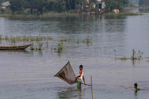 সিলেট, মৌলভীবাজার ও হবিগঞ্জে বন্যার আশঙ্কা