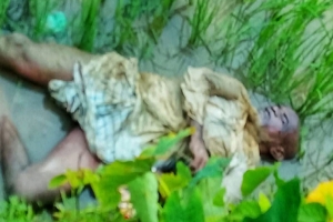 জকিগঞ্জে রাস্তার পাশের জমি থেকে বৃদ্ধের লাশ উদ্ধার