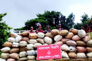 সিলেট সীমান্তে ভারতীয় পশু ও চোরাই পণ্য জব্দ