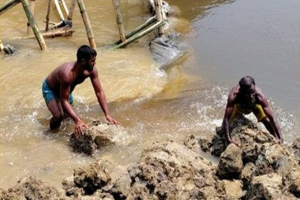 হাওরে ফসল রক্ষার যুদ্ধে কৃষকরা