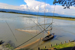 হাওরে কমছে মাছের উৎপাদন