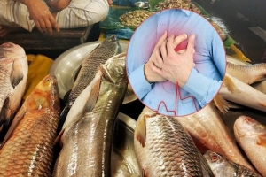 হৃদরোগের ঝুঁকি কমায় মাছ