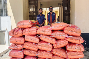 গোয়াইনঘাটে প্রায় সাড়ে ৯ লাখ টাকার ভারতীয় জিরা জব্দ