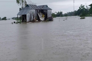 ১৫ দিনের ব্যবধানে আবারও সুনামগঞ্জে বন্যা