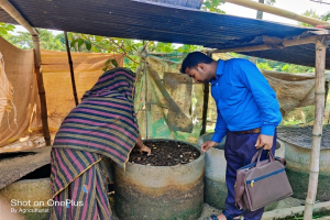 কেঁচো সারে বদলে গেছে হোসনা বেগমের জীবন