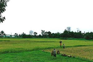 সুনামগঞ্জে ঝুলে আছে ১৩ নদী খনন প্রকল্প