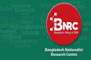 পর্দার আড়ালে নীরব বিপ্লব: বিএনপিকে শাণিত করছে