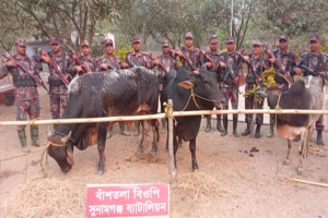 সুনামগঞ্জ সীমান্তে ১৭ লক্ষাধিক টাকার ভারতীয় পণ্য জব্দ