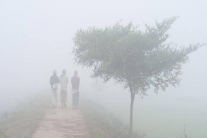 শ্রীমঙ্গলে শীতের প্রকোপ, স্তবির জীবনযাত্রা