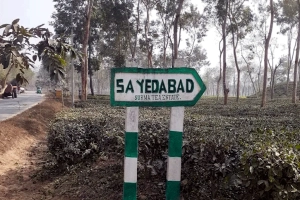 সাতছড়িতে সড়কে গাছ ফেলে ডাকাতি