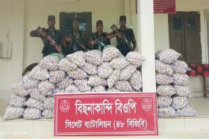 সিলেট সীমান্তে পৃথক অভিযানে বিপুল পরিমাণ চোরাই মালামাল জব্দ