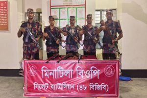 সিলেট সীমান্তে বিজিবির অভিযানে ৪ ভারতীয় অবৈধ এয়ারগান উদ্ধার