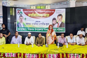 বিএনপি ক্ষমতায় গেলে দেশের প্রতিটি ইউনিয়নের মানুষের জীবনমান উন্নত হবে : লুনা