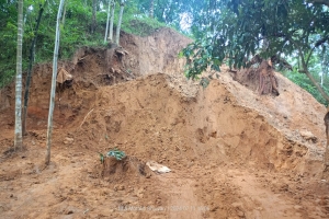 দোয়ারাবাজারে প্রকাশ্যে চলছে টিলা কাটার মহোৎসব! প্রশাসন নিরব 