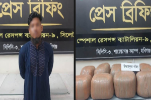 শায়েস্তাগঞ্জে ৫৫ কেজি গাঁজাসহ আটক ১, পিকআপ জব্দ