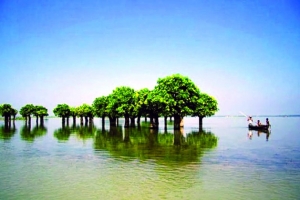 হুমকির মুখে হাকালুকির জীববৈচিত্র