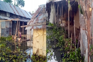বড়লেখায় পানিবন্দী এক লাখ মানুষ