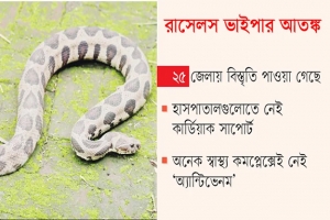 রাসেলস ভাইপার আতঙ্ক: উপজেলা হাসপাতালগুলোতে নেই চিকিৎসা সক্ষমতা