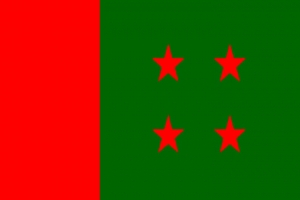 ‘প্লাটিনাম জয়ন্তী’ উদযাপন করবে আ.লীগ